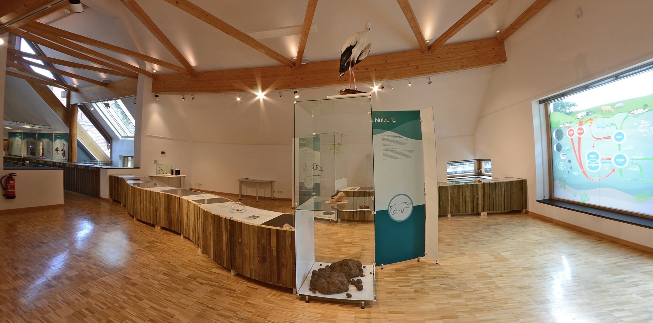 „Alles Scheiße“: Blick in die Ausstellung im Pfalzmuseum für Naturkunde in Bad Dürkheim.