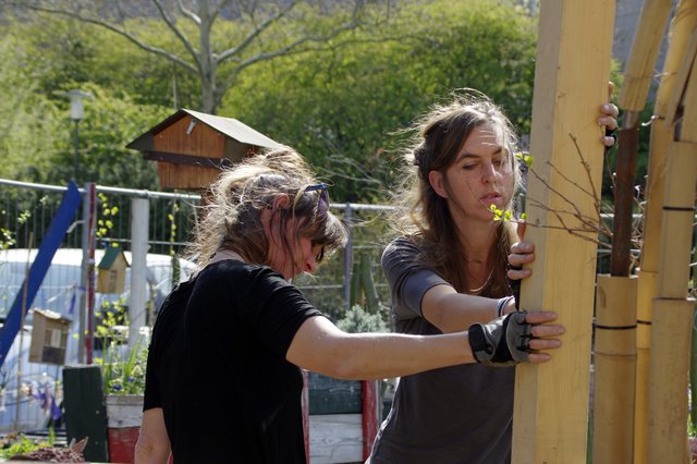 Foto: Ilona Schäfer