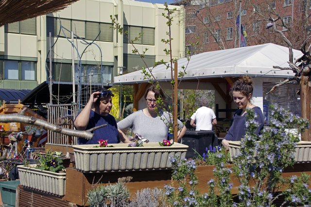 Foto: Ilona Schäfer