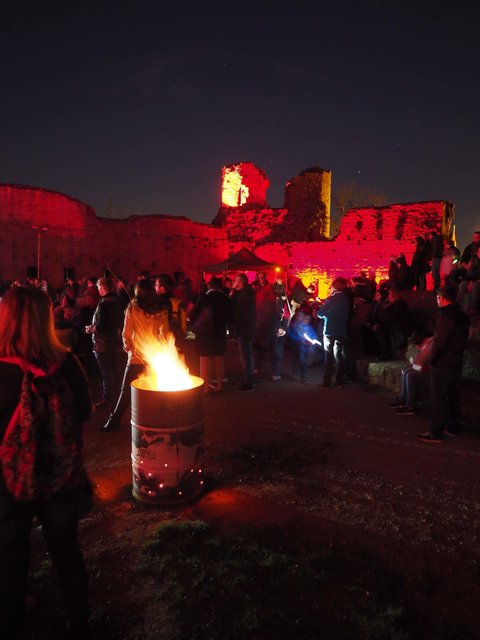 Gemeinsam ein Zeichen für den Klimaschutz setzen ist das Ziel der Earth Hour, die zum fünften Mal in der Burg Neuleiningen auf spezielle Weise begangen wurde. | Foto: Link