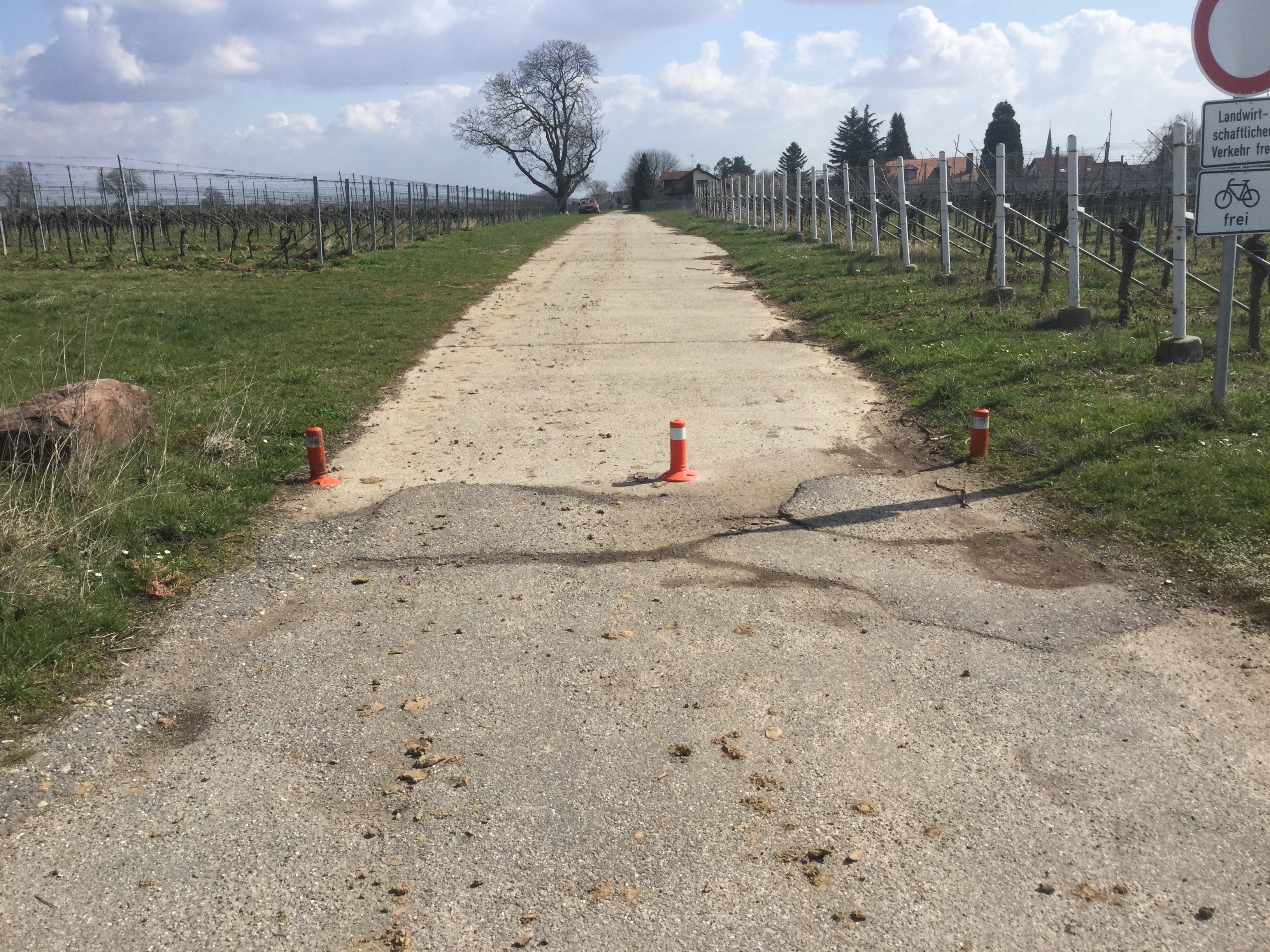 Die niedrigen Pfosten im Kirchfeldweg sollen die Durchfahrt von PKW-Verkehr behindern. Foto: ps