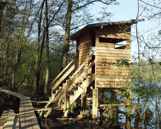 Beobachtungshütte und Steg im Naturschutzgebiet Weingartner Moor-Bruchwald Grötzingen | Foto: RP Karlsruhe