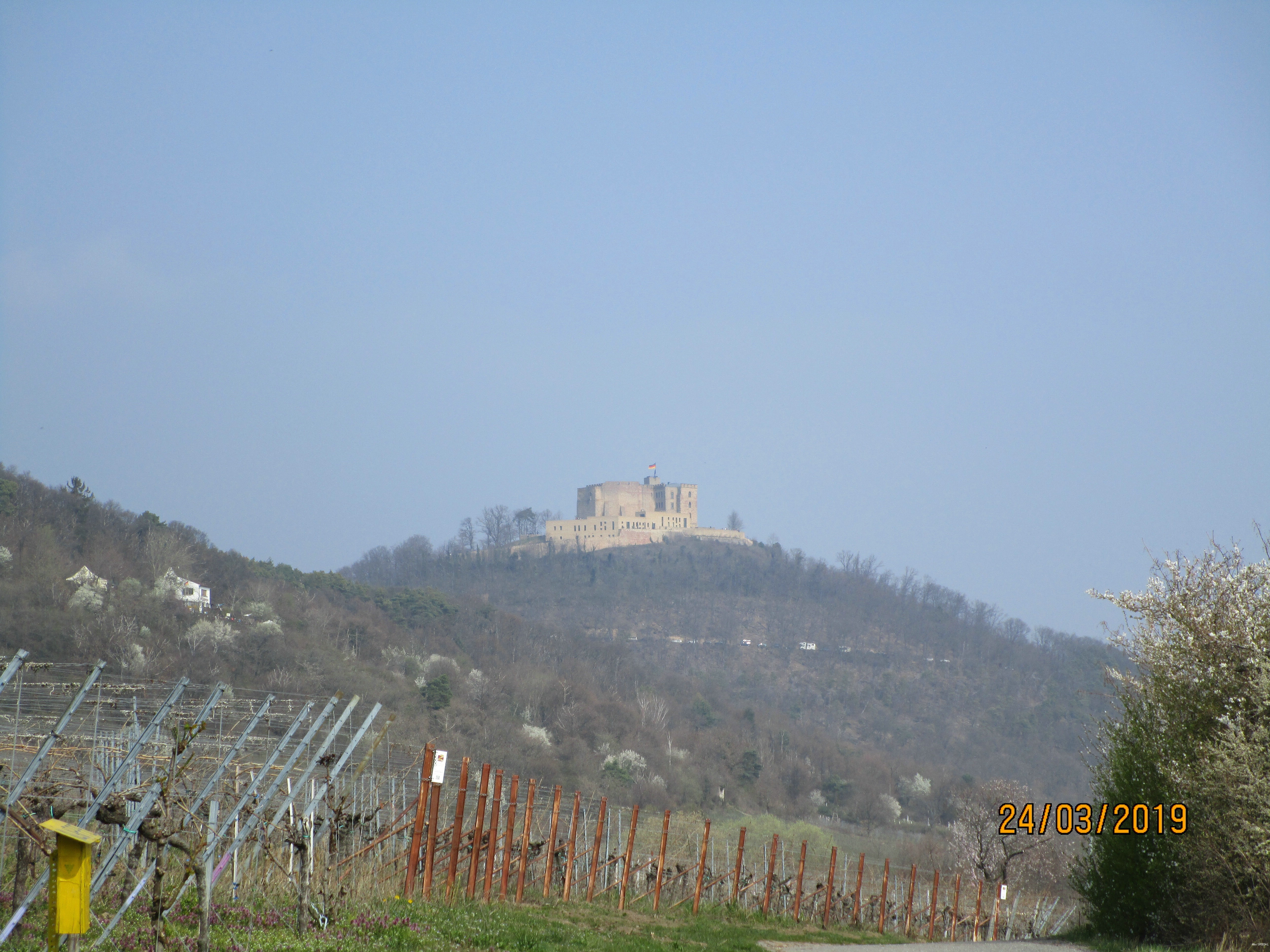 Foto: I. Schüler