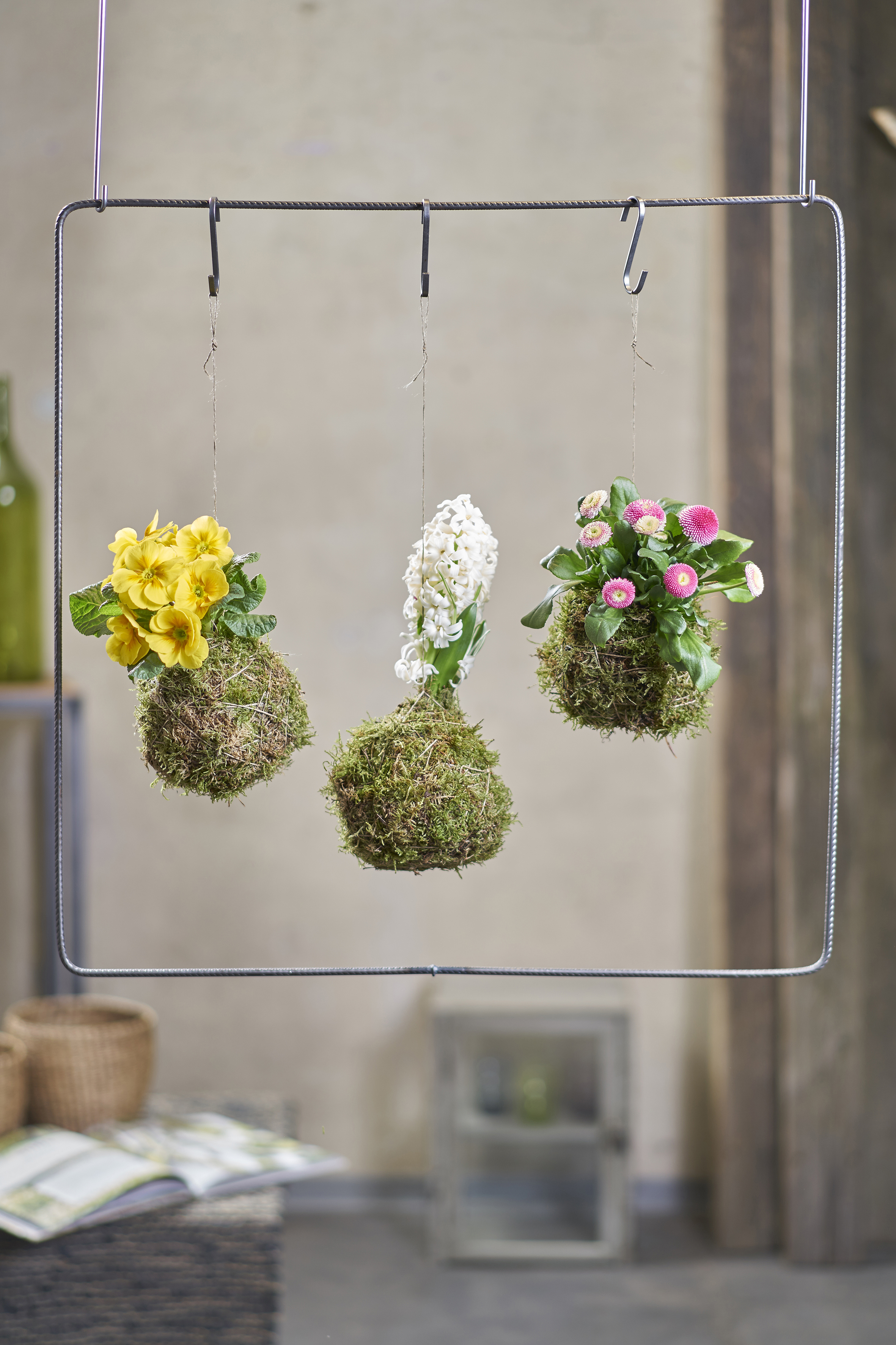 Kokedama ist ein Blumentrend aus Japan – hier frühlingshaft interpretiert als stimmungsvolle Osterdekoration.