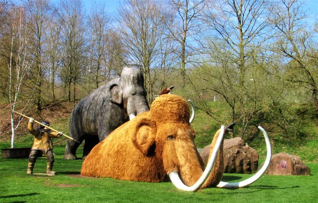 Die Jagdsaison 2019 ist ERÖFFNET 