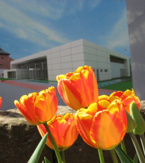 Gartenschau im Wandel
