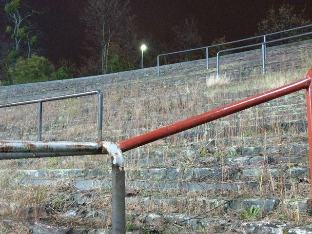 Die Natur erobert die Tribünen zurück. | Foto: BAS