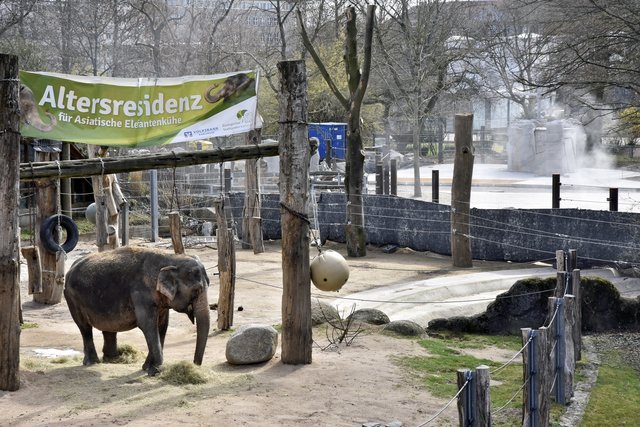 Außenanlage, bisher - mit Nanda , und Flex-Arbeiten hinten | Foto: Stefan Jehle