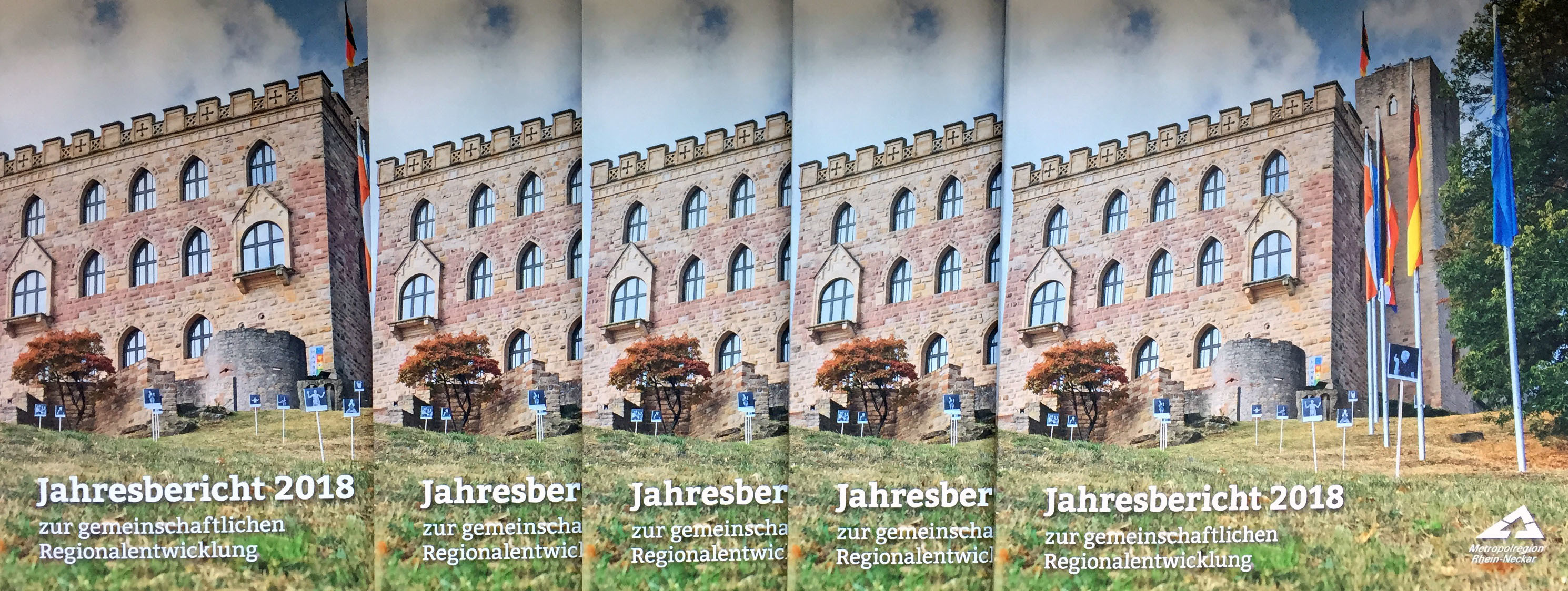 Kostenlos erhältlich: der neue Jahresbericht zur Regionalentwicklung Rhein-Neckar.