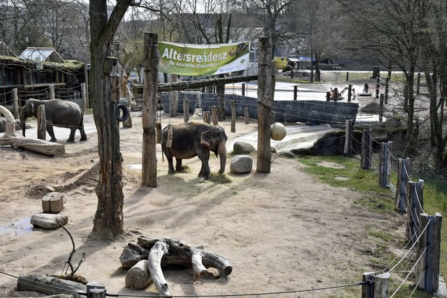 Außenanlage, bisher - mit Nanda (re.) und Jenny (li.) | Foto: Stefan Jehle
