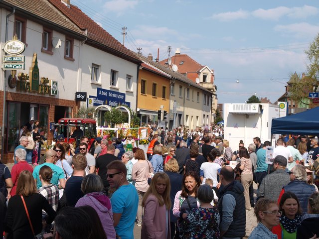 Sommertagsumzug Friedrichsfeld | Foto: Kristin Hätterich