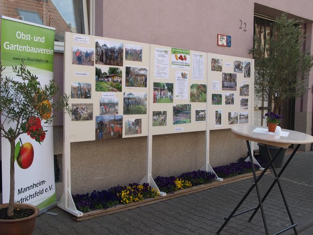 Stand des Obst- und Gartenbauvereins Friedrichsfeld | Foto: Kristin Hätterich