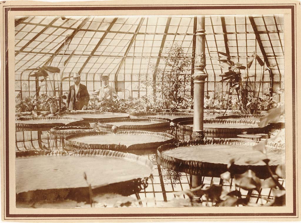 Botanischer Garten in Karlsruhe, Victoria-Regia-Haus, 1895