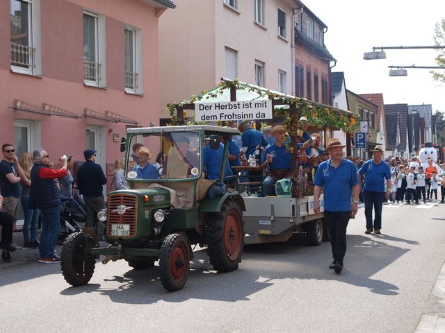 MGV Frohsinn Friedrichsfeld | Foto: Kristin Hätterich