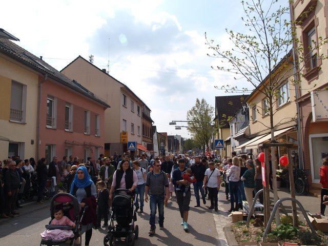 Sommertagsumzug Friedrichsfeld | Foto: Kristin Hätterich