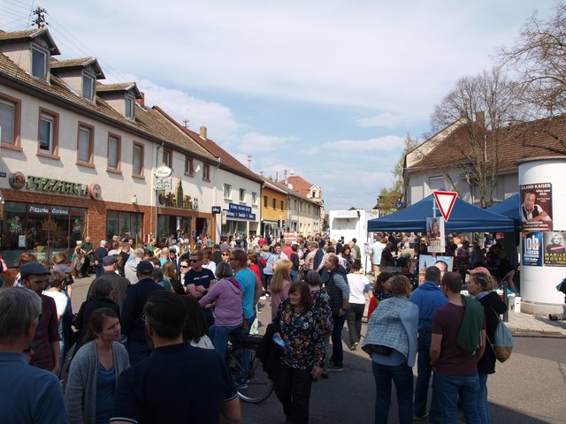 Sommertagsumzug Friedrichsfeld | Foto: Kristin Hätterich
