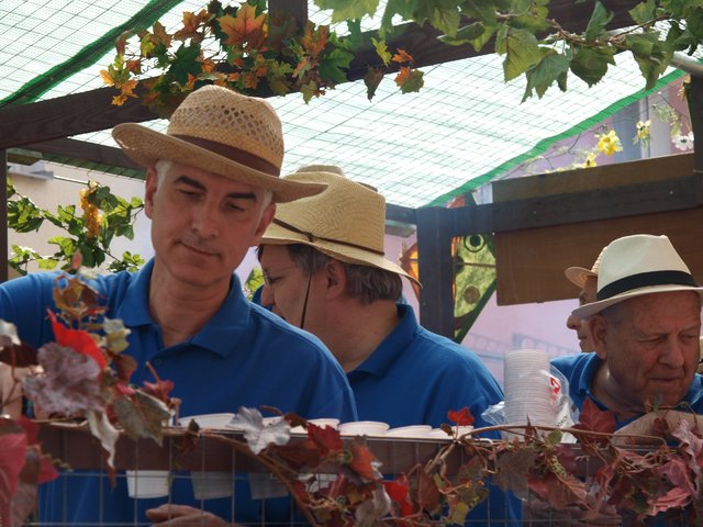 MGV Frohsinn Friedrichsfeld | Foto: Kristin Hätterich