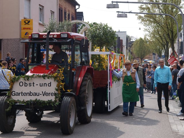 Wagen des Obst- und Gartenbauvereins | Foto: Kristin Hätterich