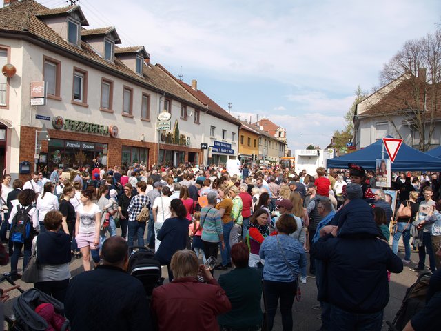 Sommertagsumzug Friedrichsfeld | Foto: Kristin Hätterich