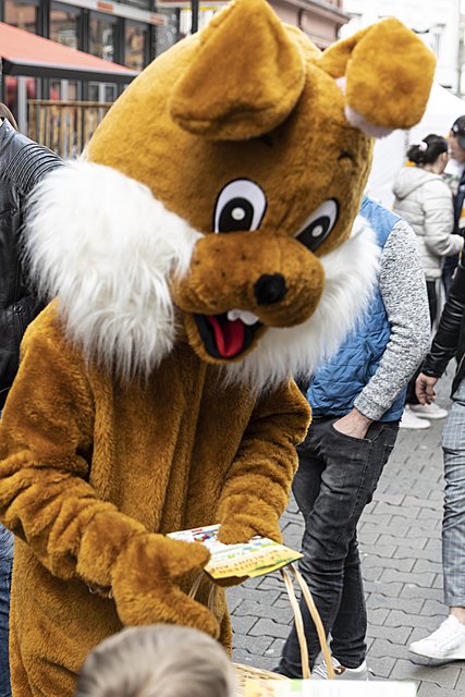Foto: Jens Vollmer