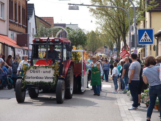 Wagen des Obst- und Gartenbauvereins | Foto: Kristin Hätterich