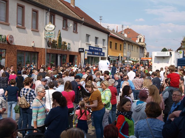 Sommertagsumzug Friedrichsfeld | Foto: Kristin Hätterich