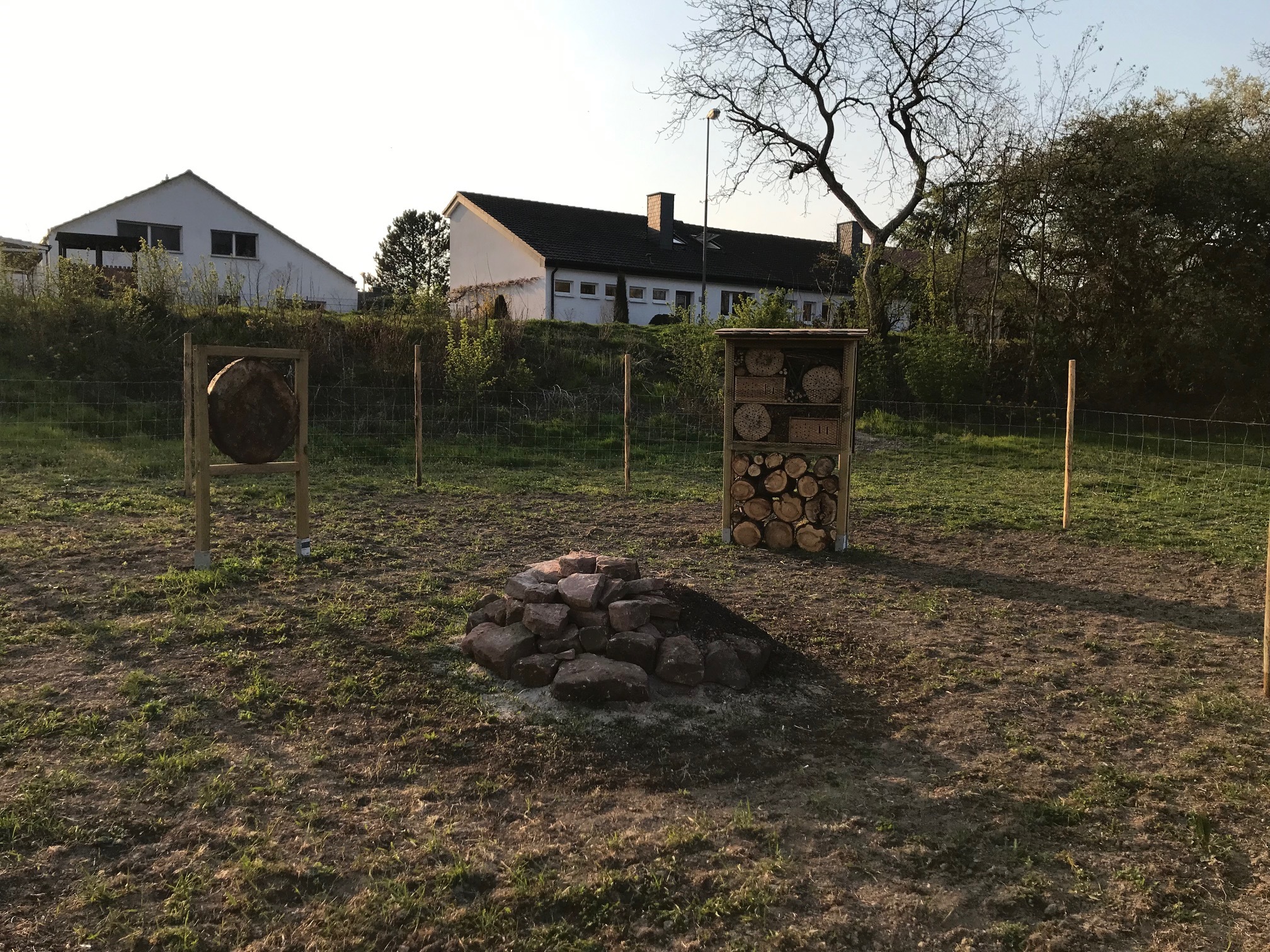 Nisthilfen, Insektenhotel und Wildblumen - der Retentionsraum hat sich gemacht. Jetzt fehlt nur noch ein passender Name für das neue Erholungsgebiet in Mörsch.