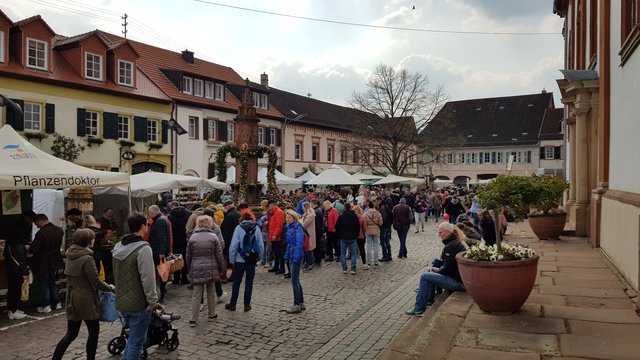 Foto: Eva Bender