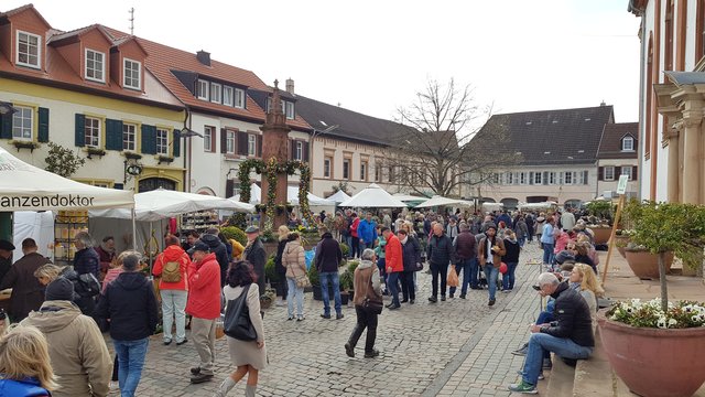 Foto: Eva Bender