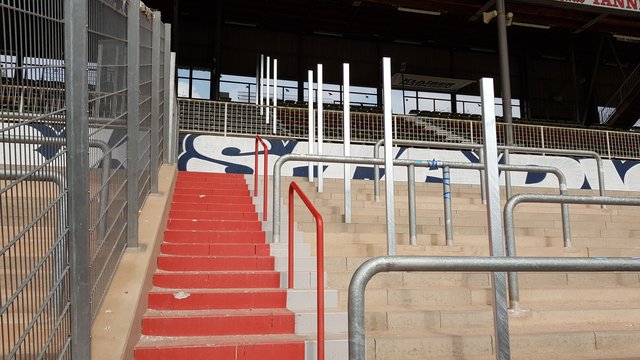 Die Pfosten für den zweiten Zaum stehen schon - das Gitter und das Fangnetz kommen zum Spiel | Foto: jow