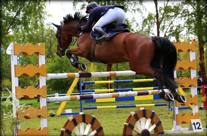 Der Reitclub Neustadt hofft auf viele begeisterte Zuschauer beim Springturnier am letzten Aprilwochenende. Foto: ps