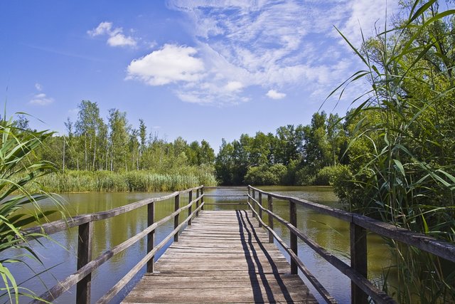 Bei der Führung durch das Landschaftsschutzgebiet gibt es allerlei Informationen zu Flora und Fauna | Foto: ps