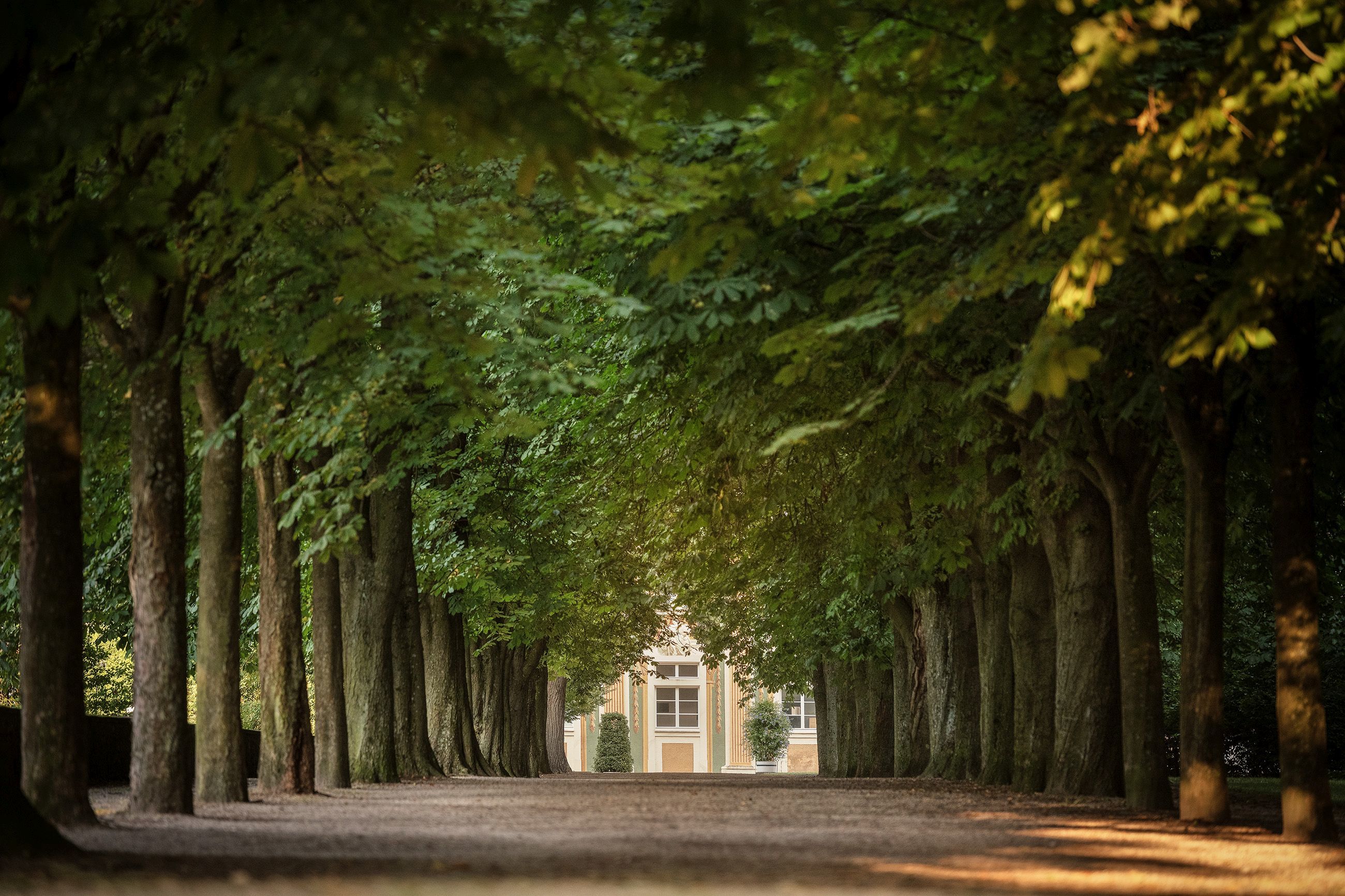 Der Bruchsaler Schlossgarten