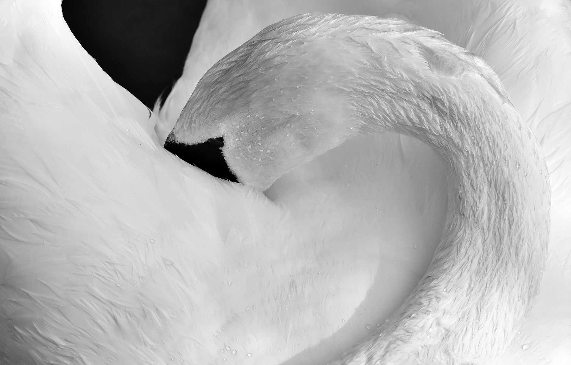 Symbolfoto