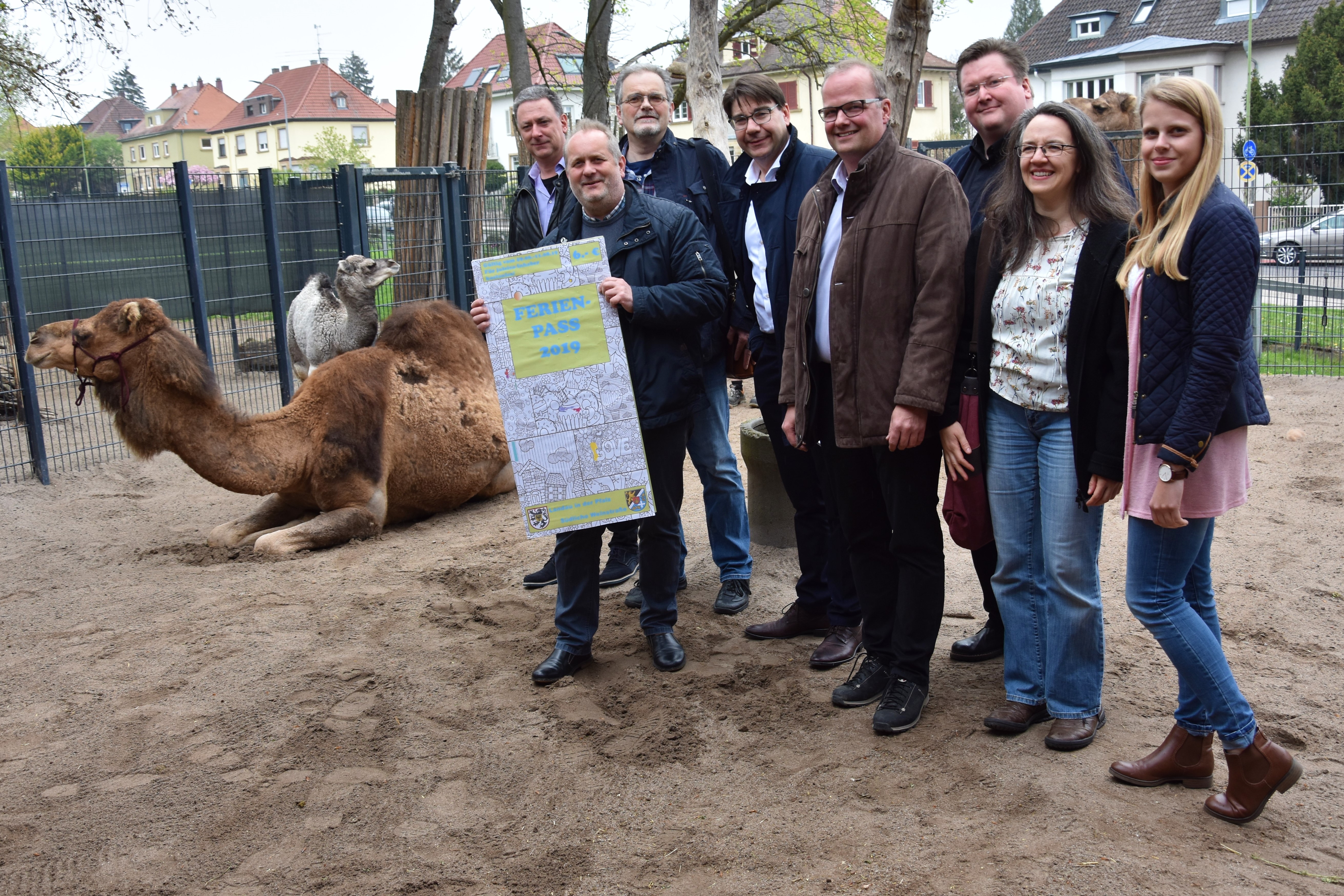 Raus aus den Amtsstuben, rein ins Dromedargehege: Jaqueline, Zarif, Kreisjugendpfleger Wolfgang Giessen, Zoodirektor Dr. Jens-Ove Heckel, Stadtjugendpfleger Arno Schönhöfer, Oberbürgermeister Thomas Hirsch, Erster Kreisbeigeordneter Marcus Ehrgott, Christian Donie, stellvertretender Leiter der Zooschule Landau, Claudia Rink, Mitarbeiterin der Kreisjugendpflege, und Tamara Schreiber, Mitarbeiterin der städtischen Jugendförderung (v.l.n.r.), bei der Vorstellung des gemeinsamen Ferienpasses von Stadt und Kreis.