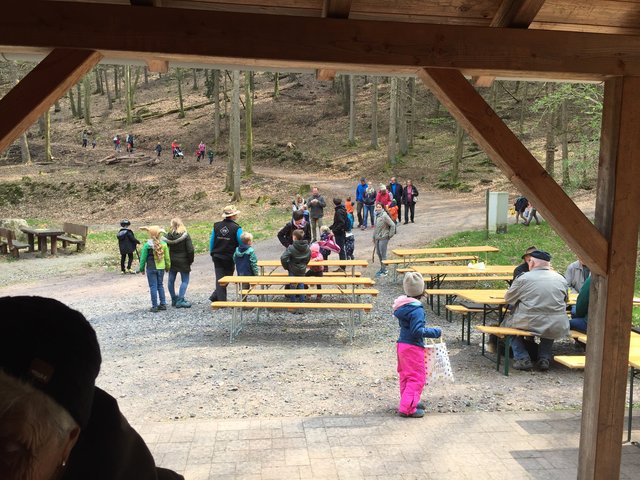 Der Wald wurde abgesucht, es blieben keine Ostereier liegen | Foto: PWV Annweiler