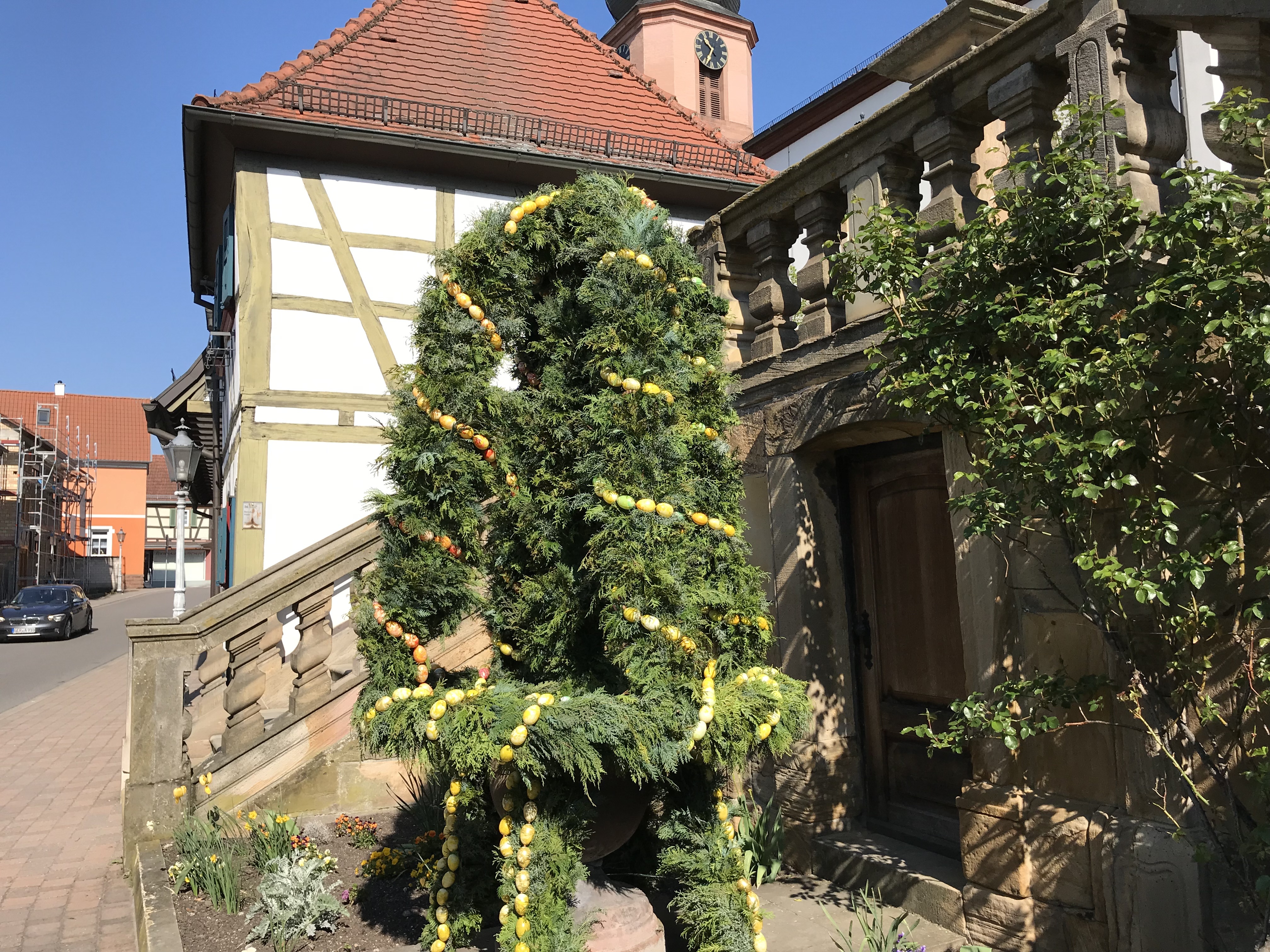 In Rheinzabern steht wieder eine schöne Osterglocke.