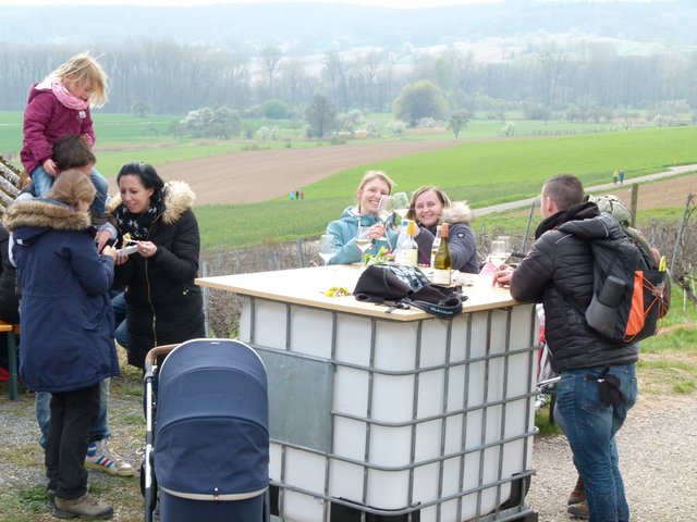 Rast beim Weingut Niwenburg mitten in der Rebanlage