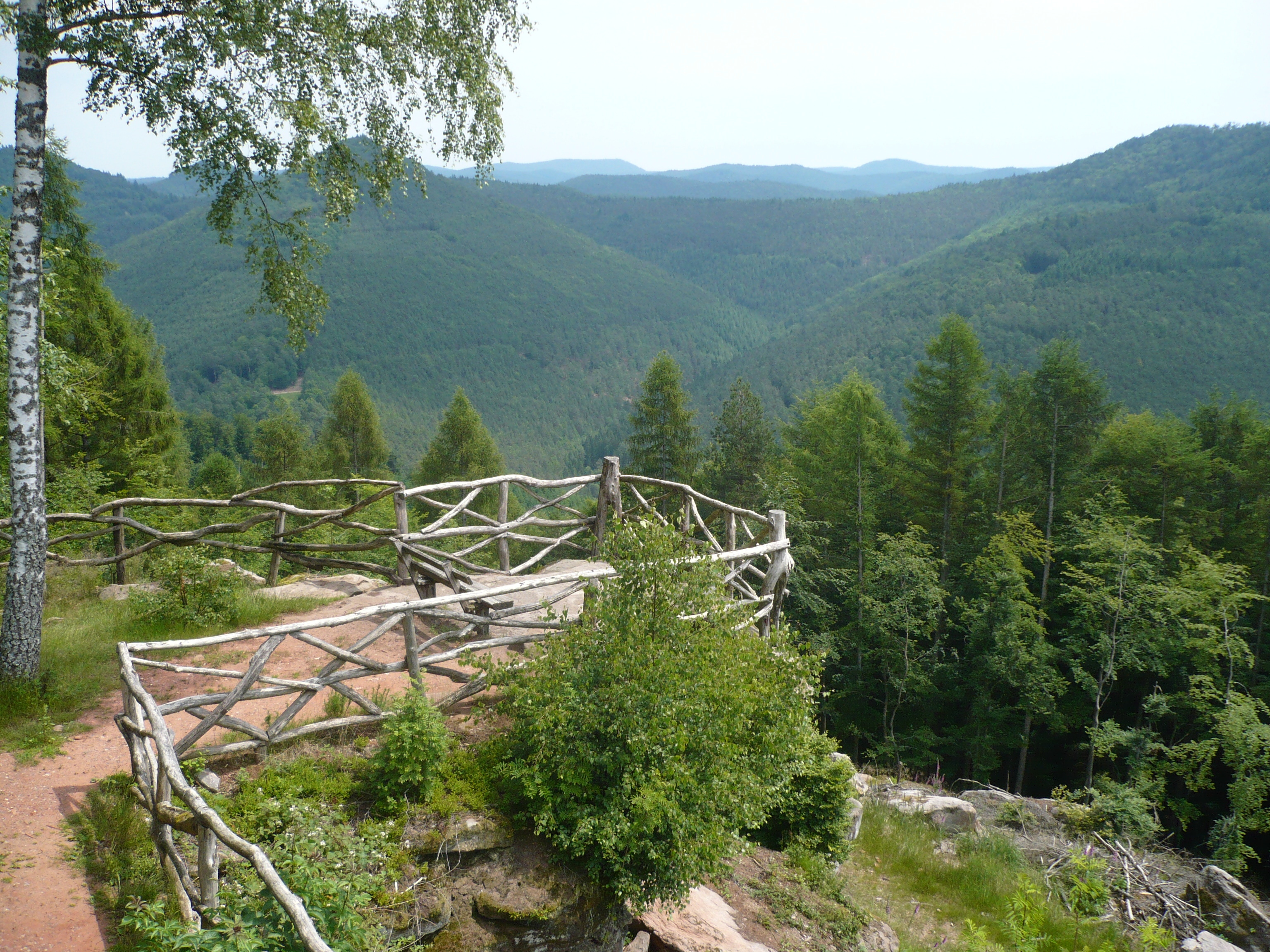 Förster Harald Düx führt zum Kirschfelsen. FOTO: BÜRO FÜR TOURISMUS