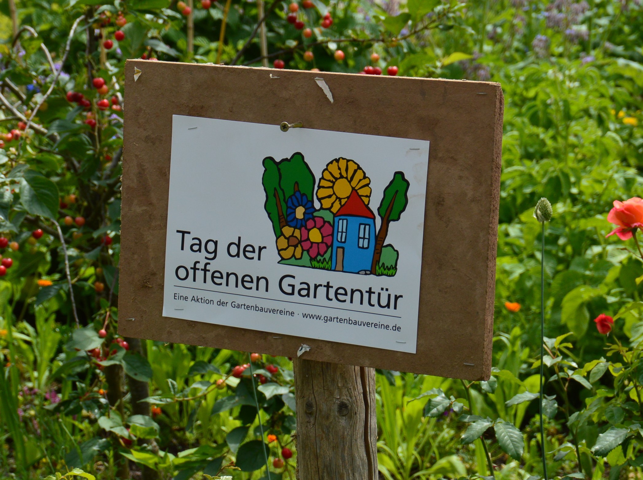 Am 30. Juni ist wieder Tag der offenen Gartentür.