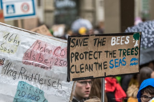  Rund 2.000 Karlsruher Jugendliche haben am Freitag, 26. April, im Rahmen der Aktion "Fridays For Future" wieder für den Klimaschutz demonstriert. | Foto: Paul Needham