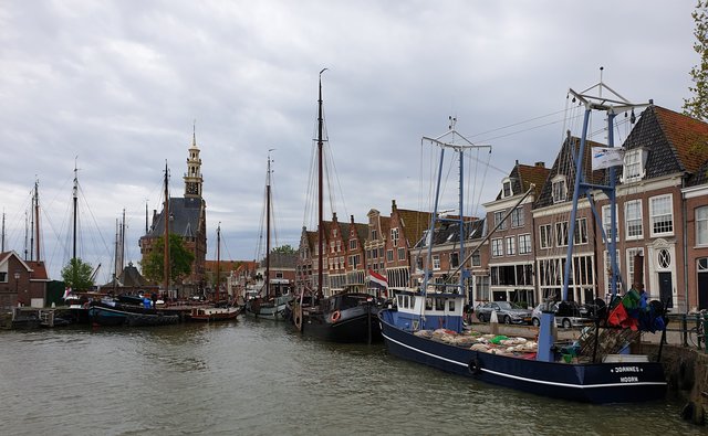 Die historische Stadt Hoorn an Ijsselmeer beeindruckt mit dem mächtigen Turm der ehemaligen Stadtbefestigung und prächtigen Bürgerhäusern aus der glanzvollen Blütezeit der Ostindischen Kompanie. | Foto: Harald Schönig