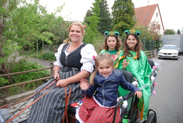 Das Froschpaar Anika und Lina Zweier-Pony-Gespann. | Foto: Pacher