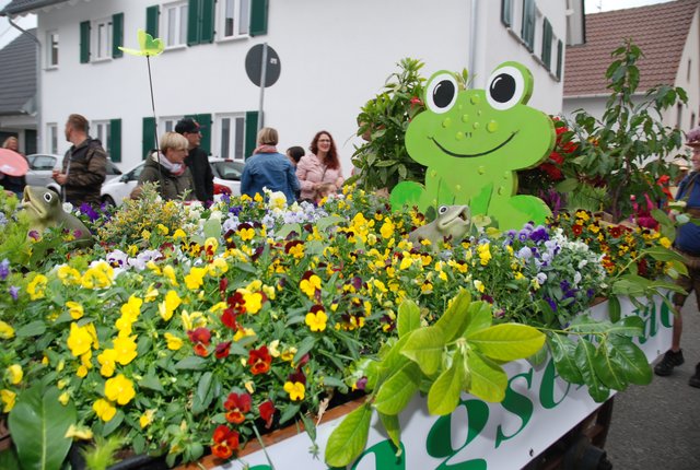 Froschige Frühlngsgrüße vom Obst- und Gartenbauverein Lachen-Speyerdorf. | Foto: Pacher
