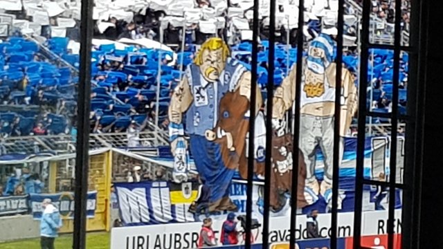 Na, das lässt der Willy nicht auf sich sitzen ... | Foto: jow