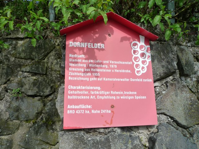Foto: Heinrich Schneider