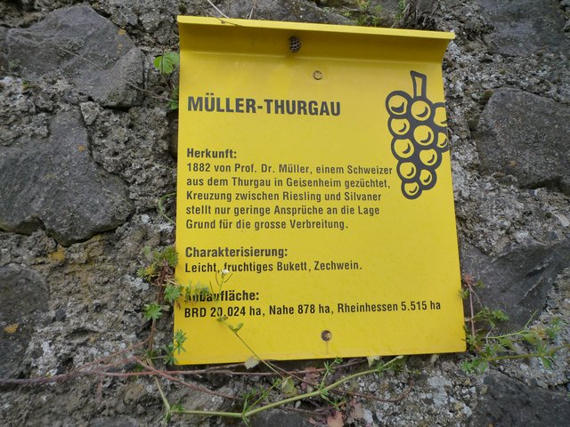Foto: Heinrich Schneider