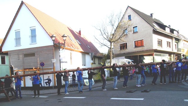 Der Maibaum kommt | Foto: W. G. Stähle