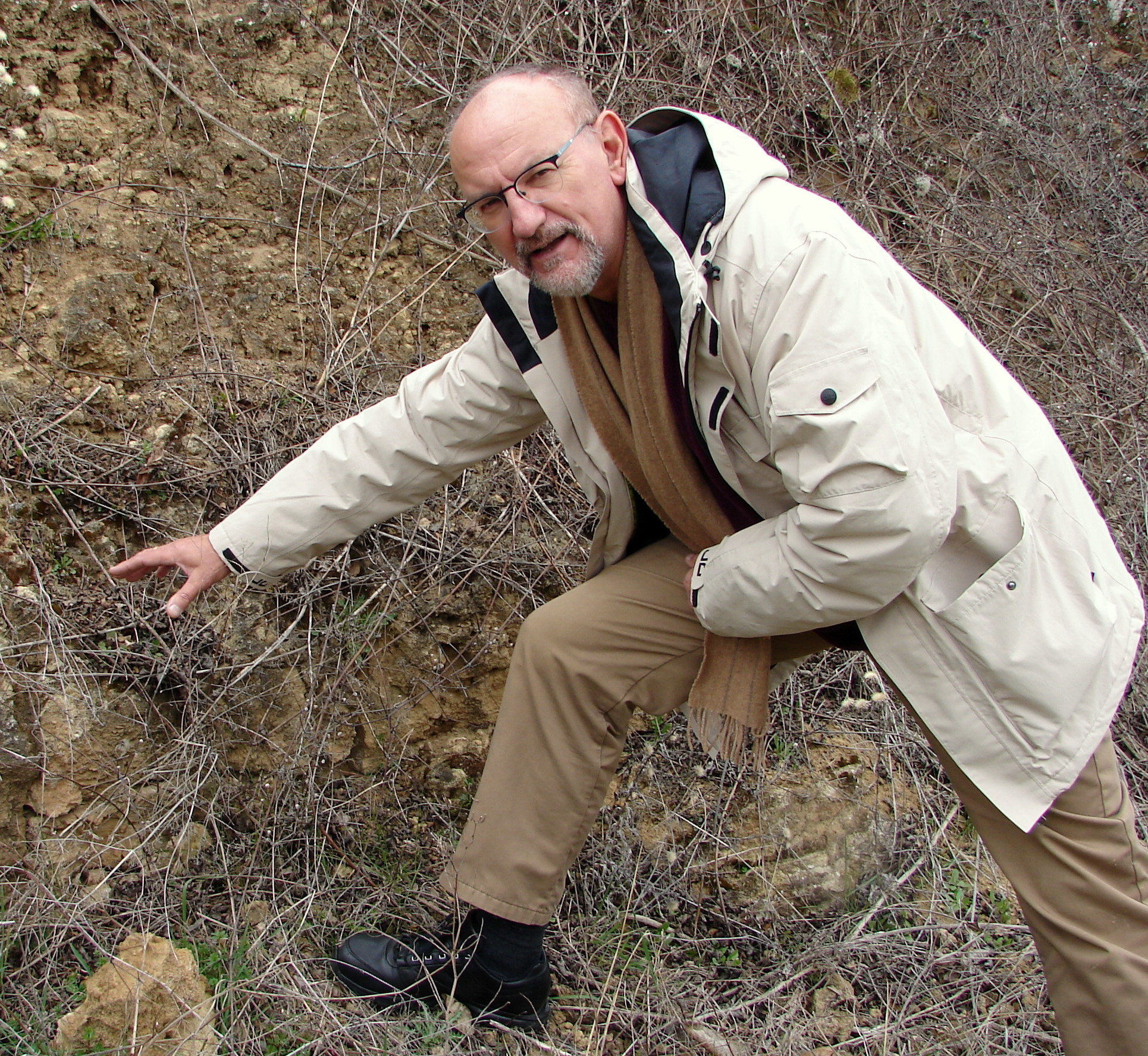 Prof. Ehses leitete 14 Jahre lang das Landesamt für Geologie und Bergbau in Mainz.