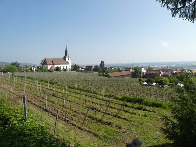 Foto: K.P. Schäfer